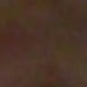 Meet your Posher, Kalia